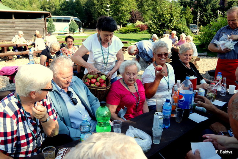 Seniorzy szukali grzybów (zdjęcia)
