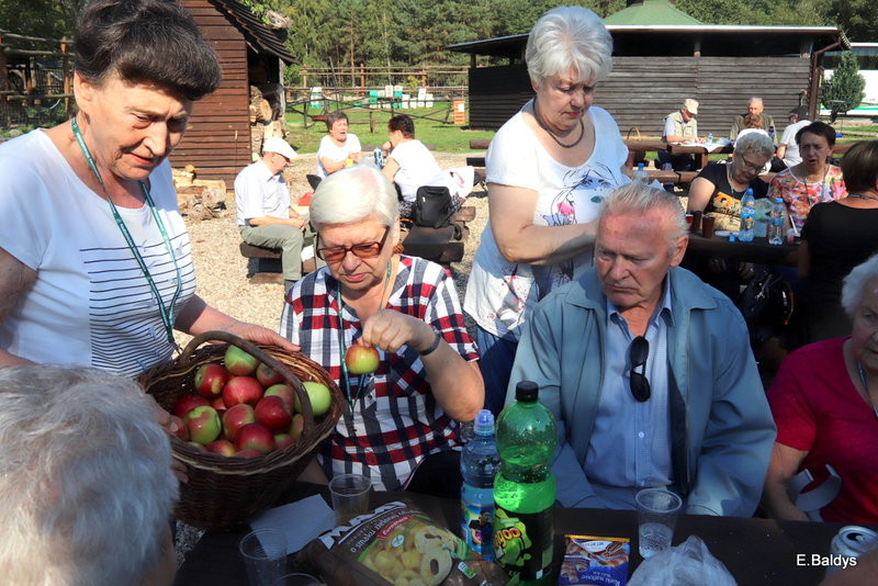 Seniorzy szukali grzybów (zdjęcia)
