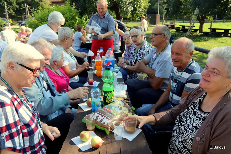 Seniorzy szukali grzybów (zdjęcia)
