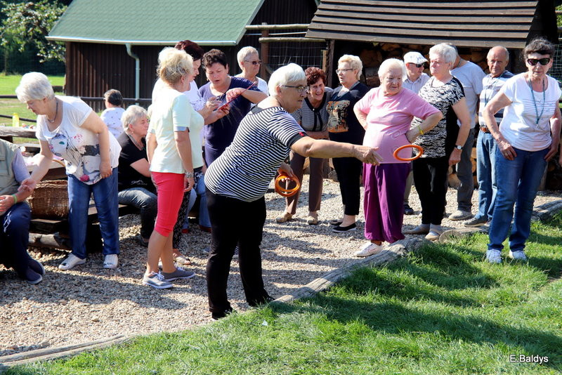 Seniorzy szukali grzybów (zdjęcia)