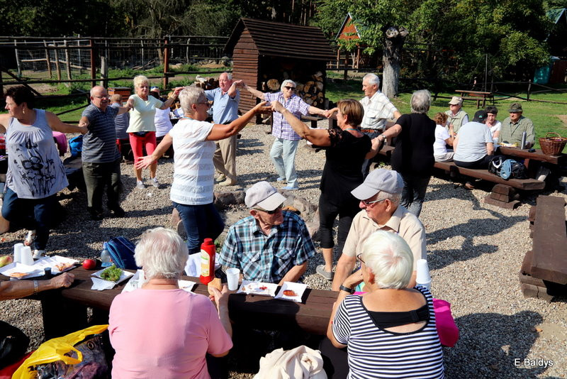 Seniorzy szukali grzybów (zdjęcia)