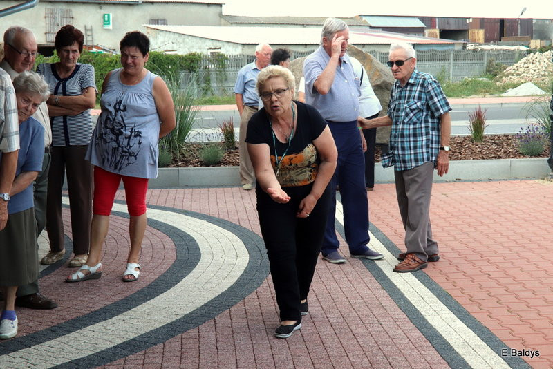 Seniorzy szukali grzybów (zdjęcia)