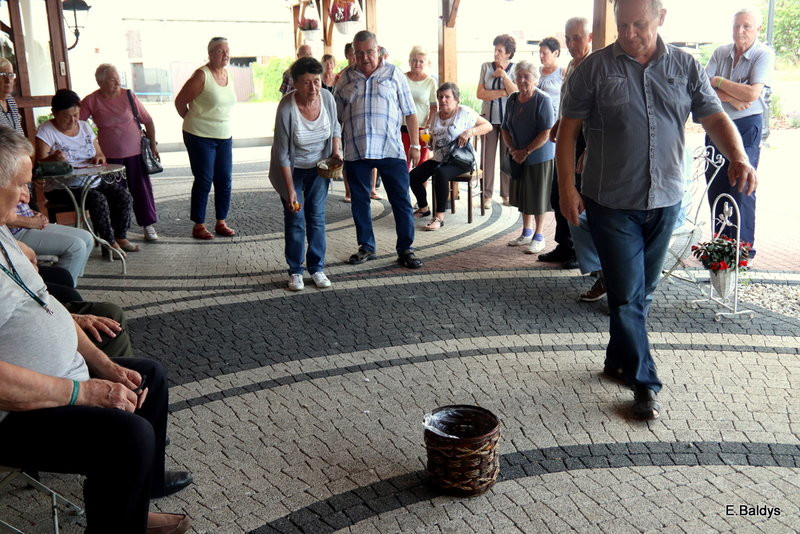 Seniorzy szukali grzybów (zdjęcia)