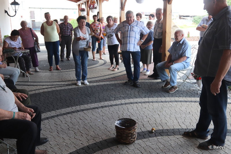 Seniorzy szukali grzybów (zdjęcia)