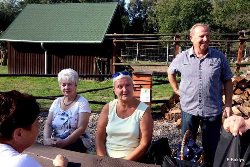Seniorzy szukali grzybów (zdjęcia)