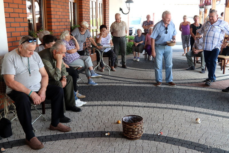 Seniorzy szukali grzybów (zdjęcia)