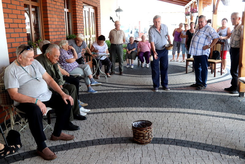 Seniorzy szukali grzybów (zdjęcia)