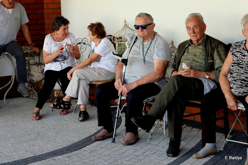 Seniorzy szukali grzybów (zdjęcia)