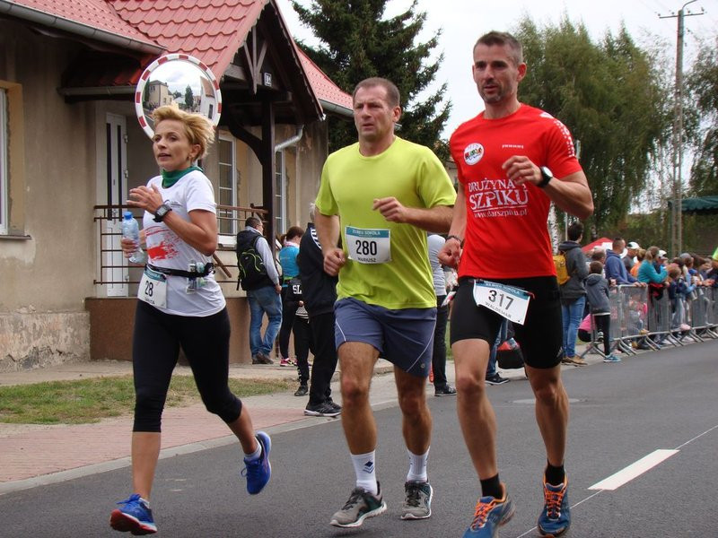 Nowa trasa Biegu Sokoła (zdjęcia)