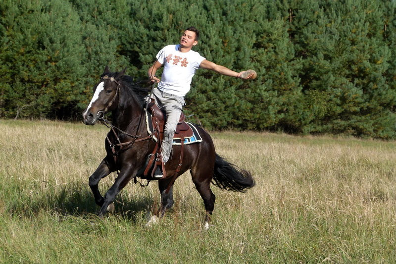 Popędzili za lisią kitą (zdjęcia)
