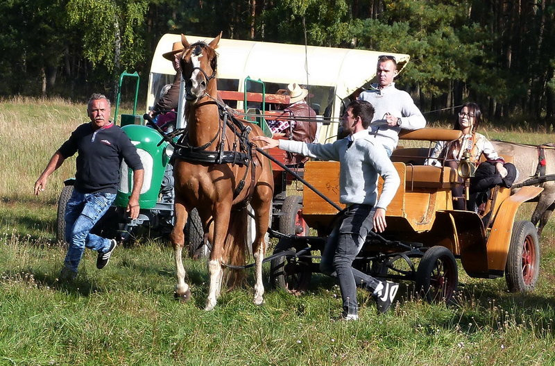 Popędzili za lisią kitą (zdjęcia)