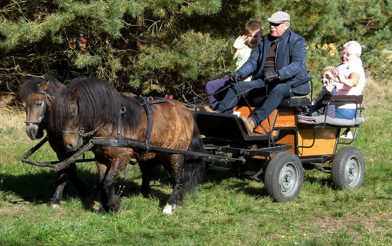 Popędzili za lisią kitą (zdjęcia)