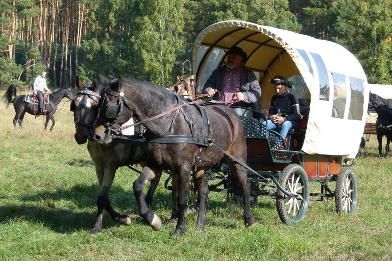 Popędzili za lisią kitą (zdjęcia)