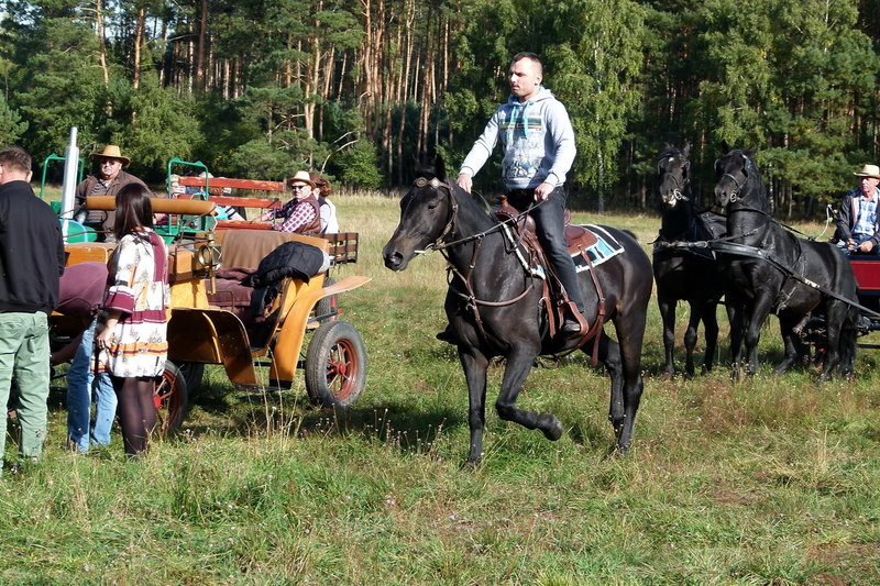 Popędzili za lisią kitą (zdjęcia)