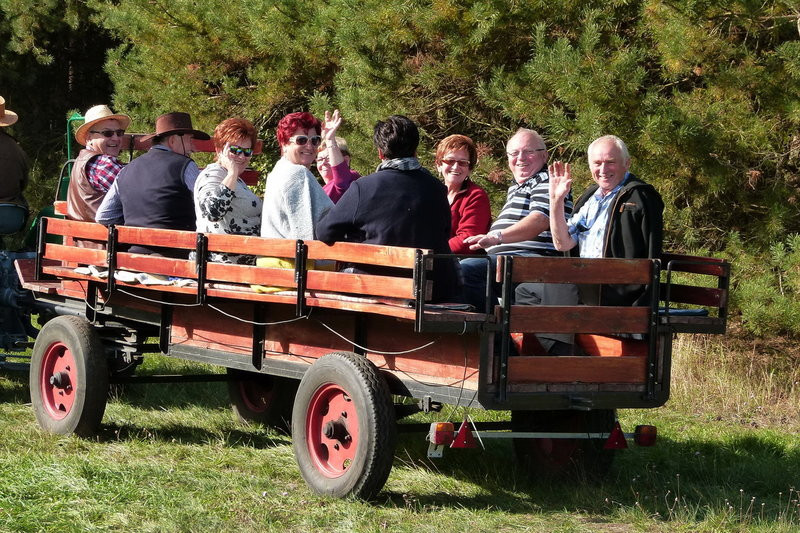 Popędzili za lisią kitą (zdjęcia)