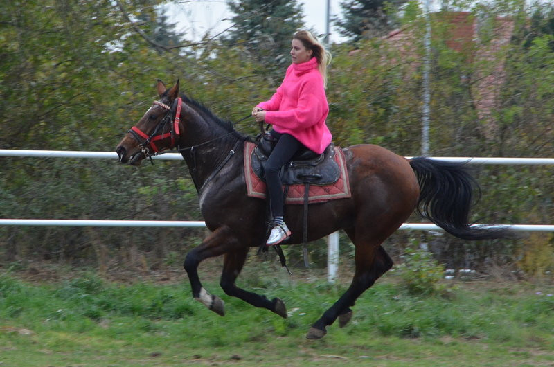 Hula hop na bukówieckim Hubertusie (zdjęcia)