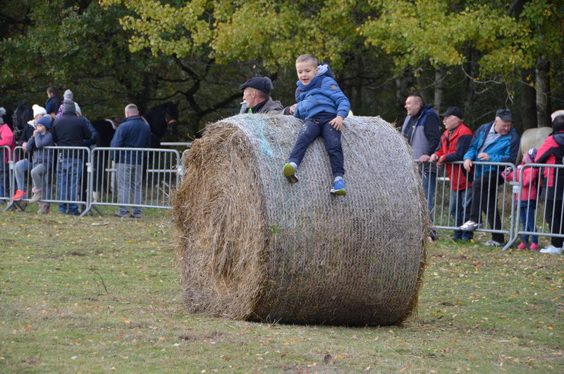 Hula hop na bukówieckim Hubertusie (zdjęcia)