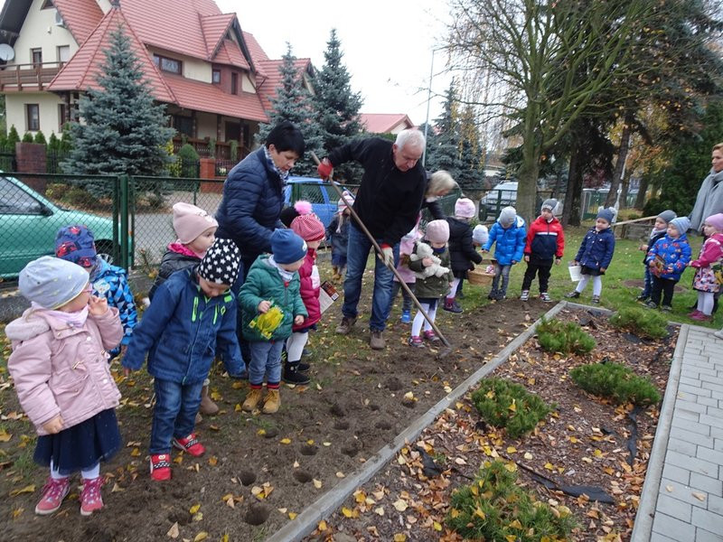 100 tulipanów na 100-lecie Polski (zdjęcia)