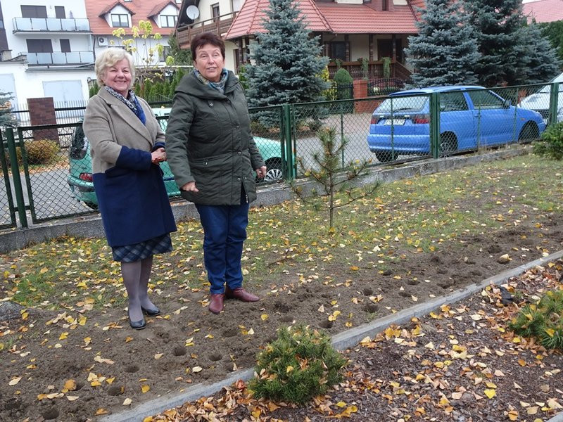 100 tulipanów na 100-lecie Polski (zdjęcia)