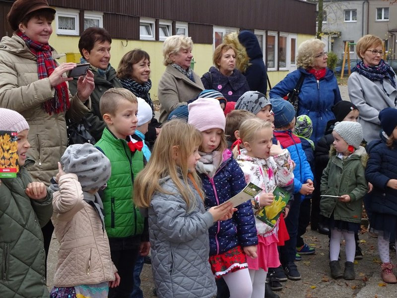 100 tulipanów na 100-lecie Polski (zdjęcia)