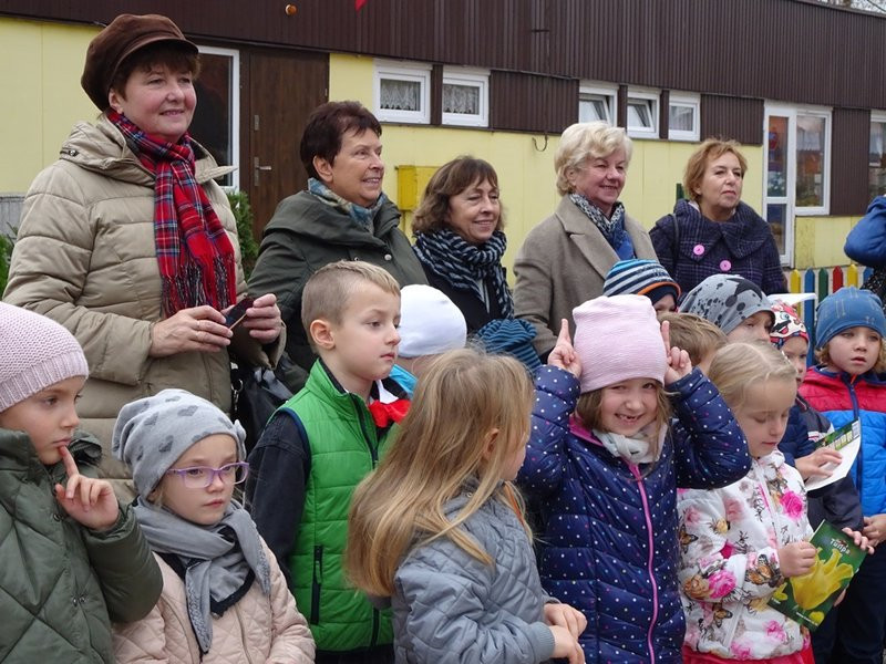 100 tulipanów na 100-lecie Polski (zdjęcia)