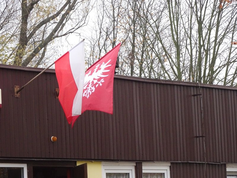 100 tulipanów na 100-lecie Polski (zdjęcia)