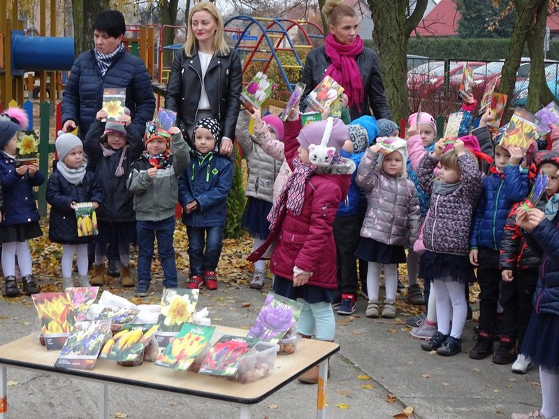 100 tulipanów na 100-lecie Polski (zdjęcia)