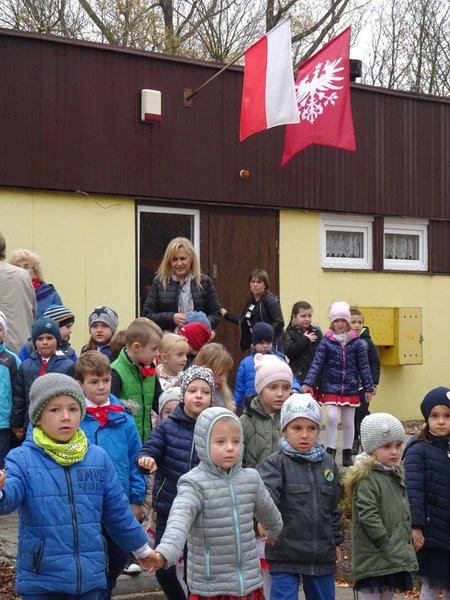 100 tulipanów na 100-lecie Polski (zdjęcia)