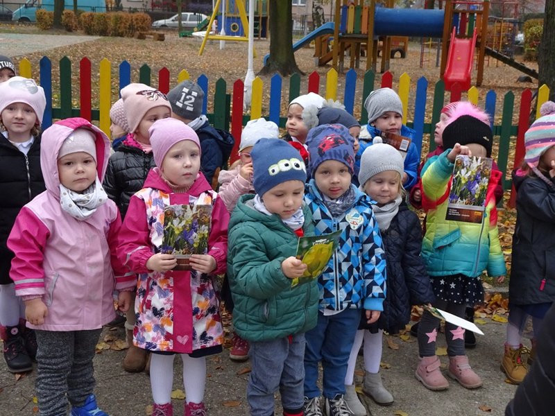 100 tulipanów na 100-lecie Polski (zdjęcia)