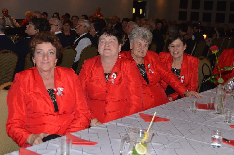 Patriotyczne śpiewanie w Święciechowie (zdjęcia)