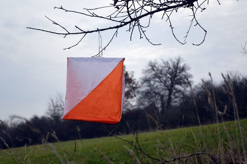 Pobiegli w Bojanicach (zdjęcia)