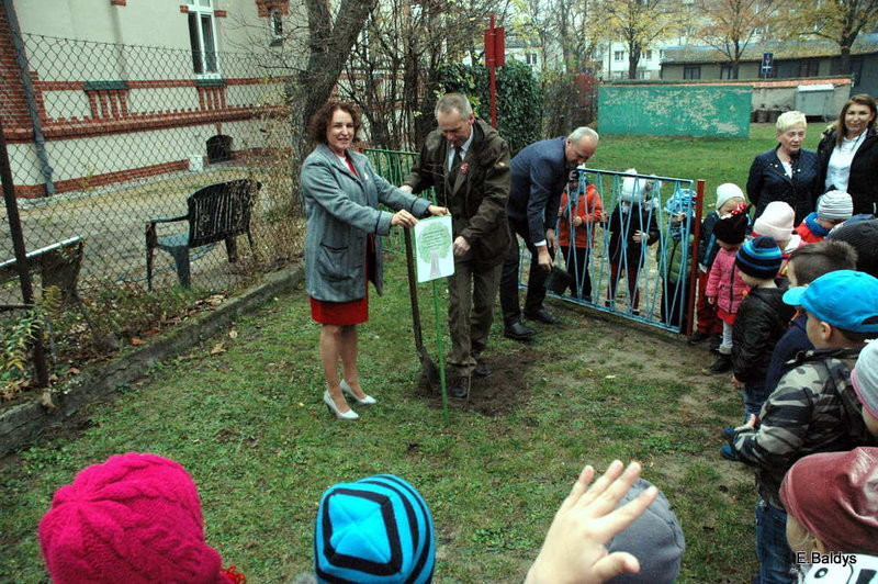 W Przedszkolu nr 6 rośnie Dąb Niepodległości (zdjęcia)