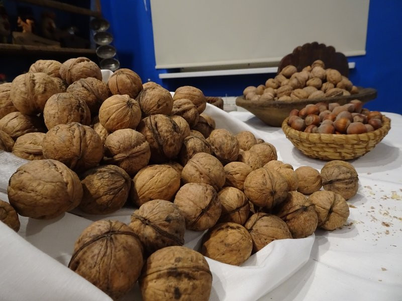 Bajeczna wystawa w muzeum (zdjęcia)