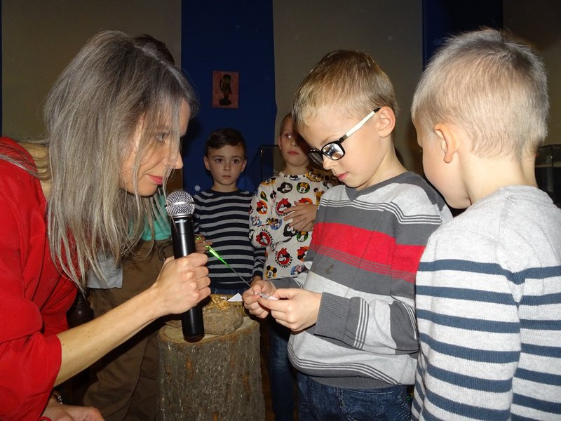 Bajeczna wystawa w muzeum (zdjęcia)