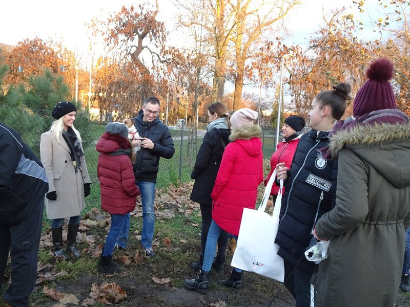 Tęczowe Mikołajki na wybiegu dla psów (zdjęcia)