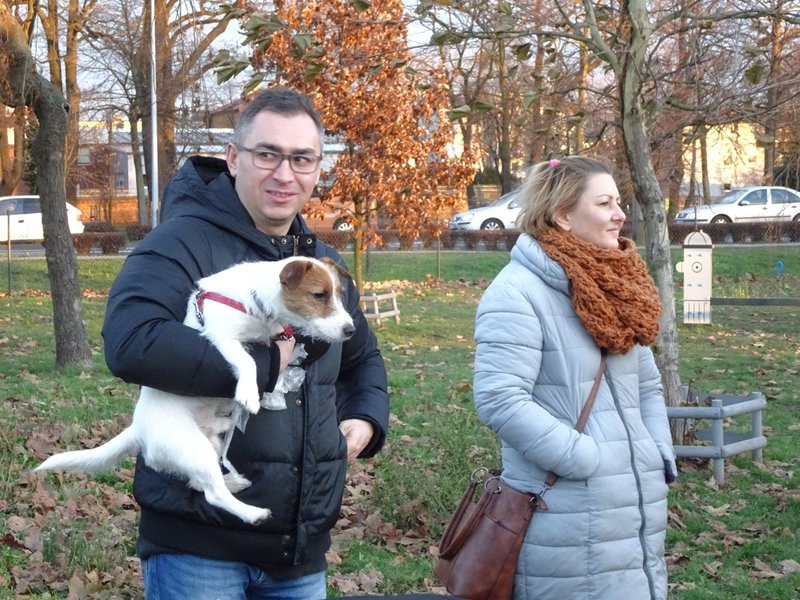 Tęczowe Mikołajki na wybiegu dla psów (zdjęcia)