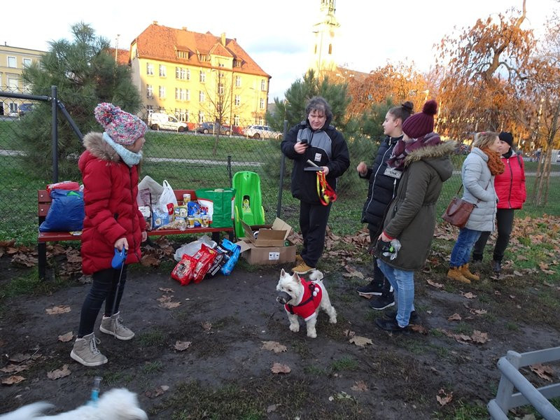 Tęczowe Mikołajki na wybiegu dla psów (zdjęcia)