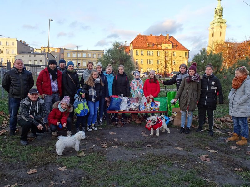 Tęczowe Mikołajki na wybiegu dla psów (zdjęcia)