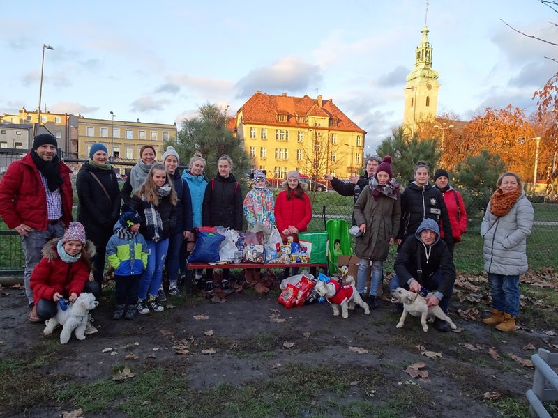Tęczowe Mikołajki na wybiegu dla psów (zdjęcia)