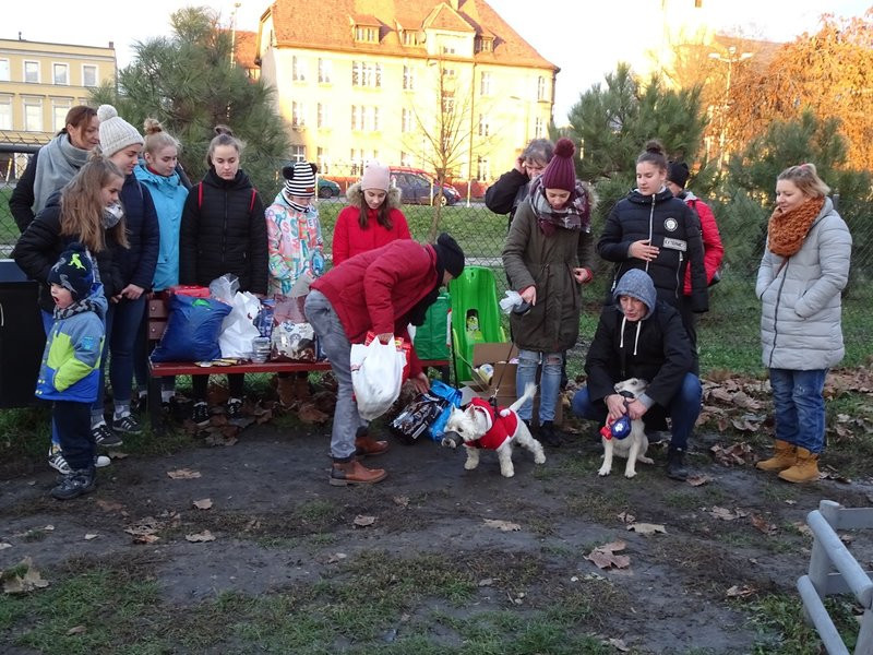 Tęczowe Mikołajki na wybiegu dla psów (zdjęcia)