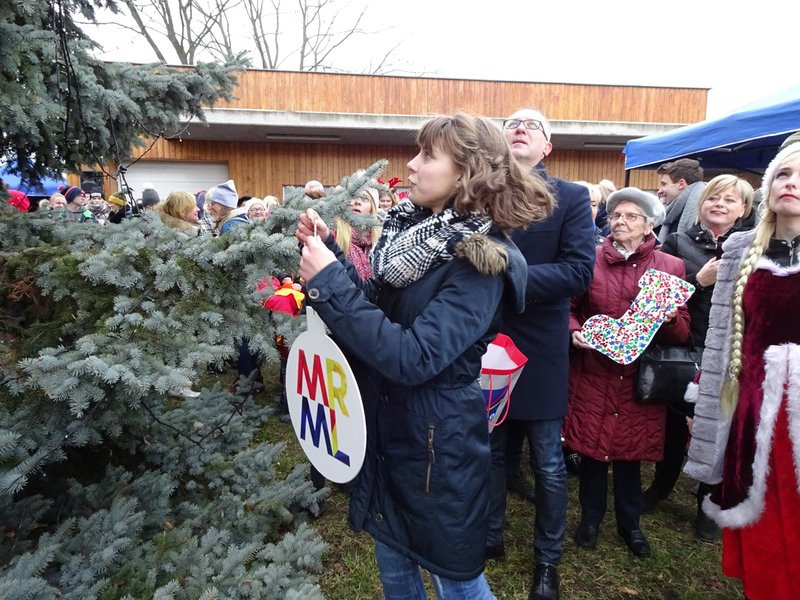Choinka przy stadionie już ozdobiona (zdjęcia)