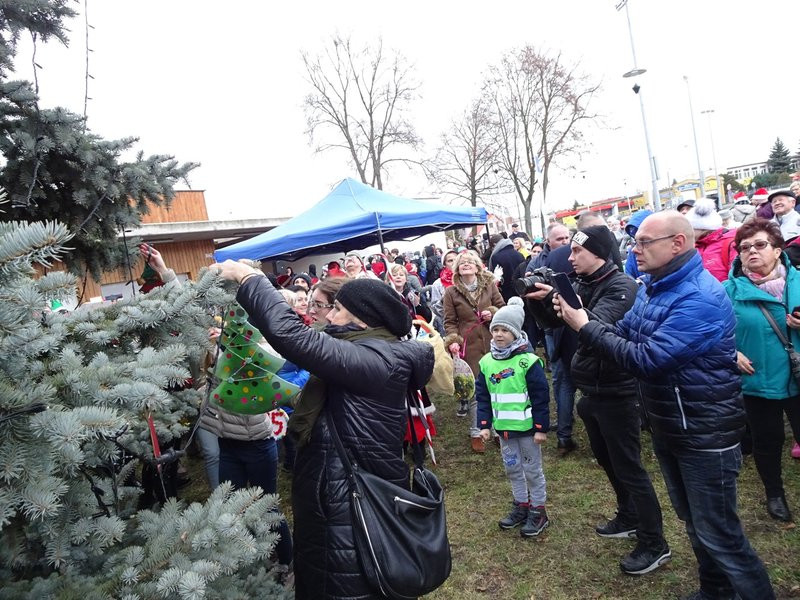Choinka przy stadionie już ozdobiona (zdjęcia)
