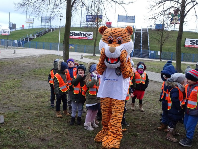 Choinka przy stadionie już ozdobiona (zdjęcia)