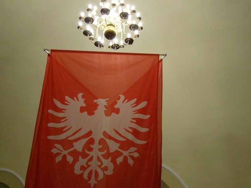 Chwała Zwycięzcom. 100 lat Powstania Wielkopolskiego (zdjęcia)