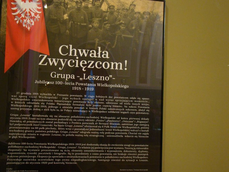 Chwała Zwycięzcom. 100 lat Powstania Wielkopolskiego (zdjęcia)