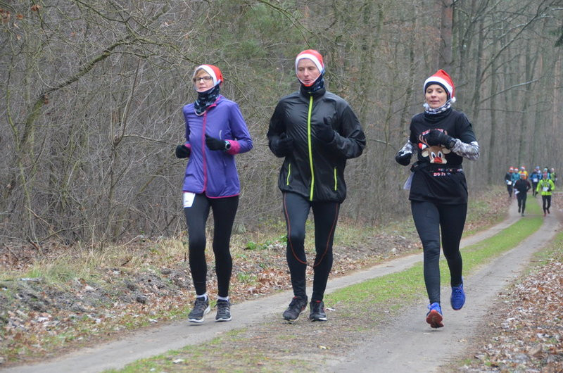Wigilijni maratończycy zaliczyli 42 km po lasach (zdjęcia)