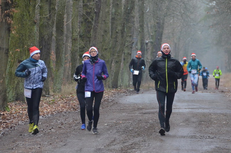 Wigilijni maratończycy zaliczyli 42 km po lasach (zdjęcia)