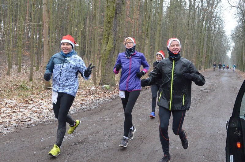 Wigilijni maratończycy zaliczyli 42 km po lasach (zdjęcia)