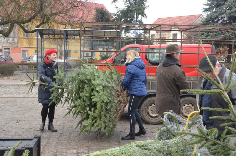 Zapachniało świętami na osieckim Rynku (zdjęcia)