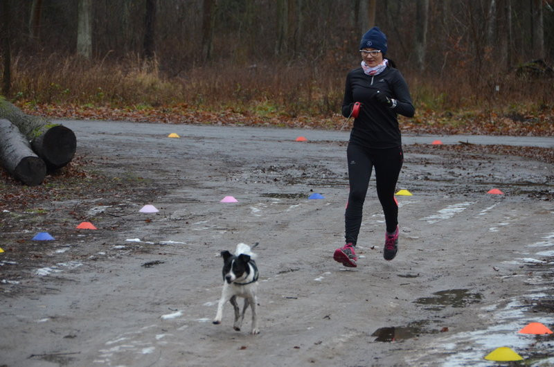 Trzykrotne gratulacje podczas 277. edycji Parkrunu Leszno (zdjęcia)